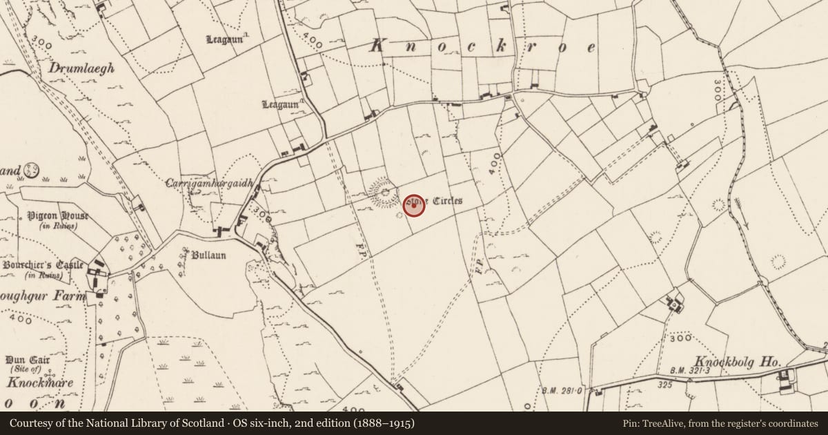 Ordnance Survey six-inch map, 2nd edition (1888–1915) covering the location of Structure, Loughgur, County Limerick, with a pin at the register's coordinates