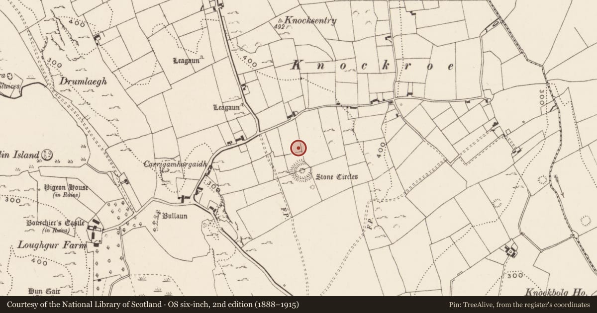 Ordnance Survey six-inch map, 2nd edition (1888–1915) covering the location of Building, Loughgur, County Limerick, with a pin at the register's coordinates