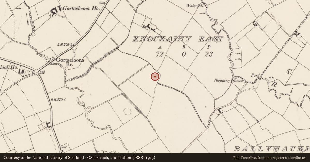 Ordnance Survey six-inch map, 2nd edition (1888–1915) covering the location of Barrow - ditch barrow, Knockainy West, County Limerick, with a pin at the register's coordinates