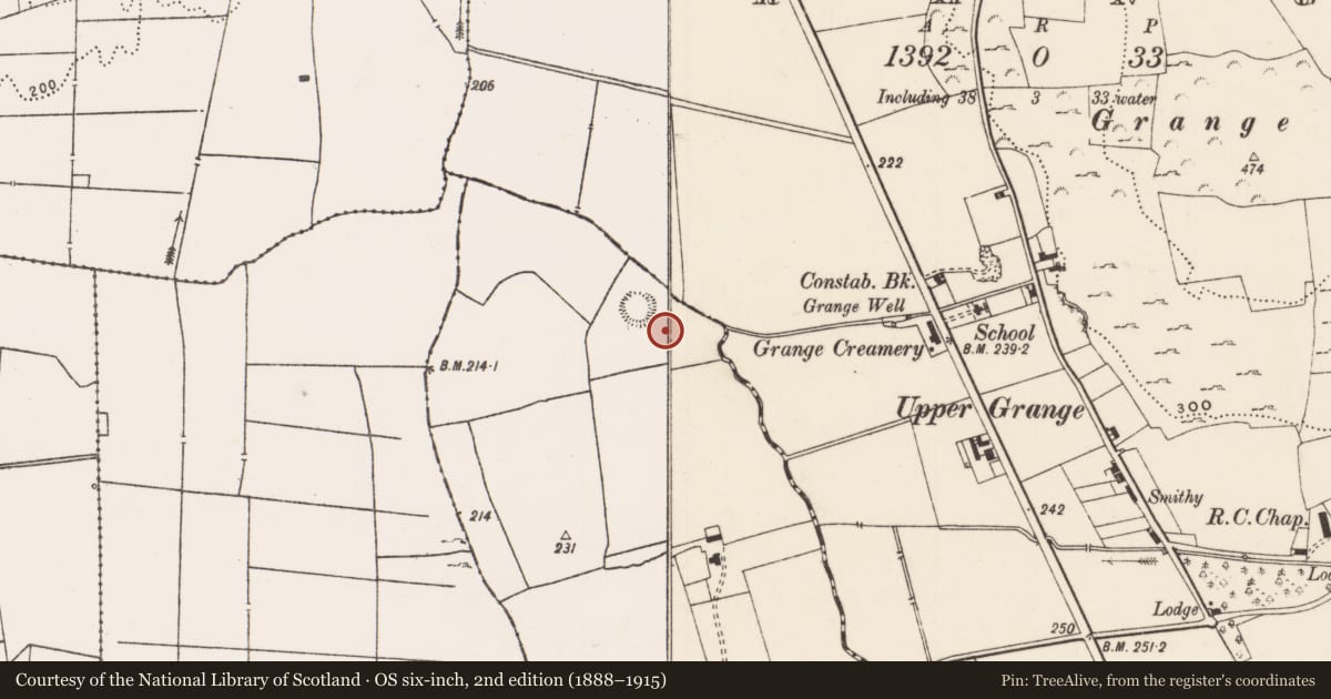Ordnance Survey six-inch map, 2nd edition (1888–1915) covering the location of Field system, Kilcullane, County Limerick, with a pin at the register's coordinates