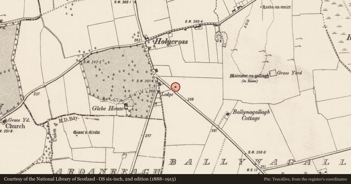 Ordnance Survey six-inch map, 2nd edition (1888–1915) covering the location of Pit, Ballynagallagh, County Limerick, with a pin at the register's coordinates