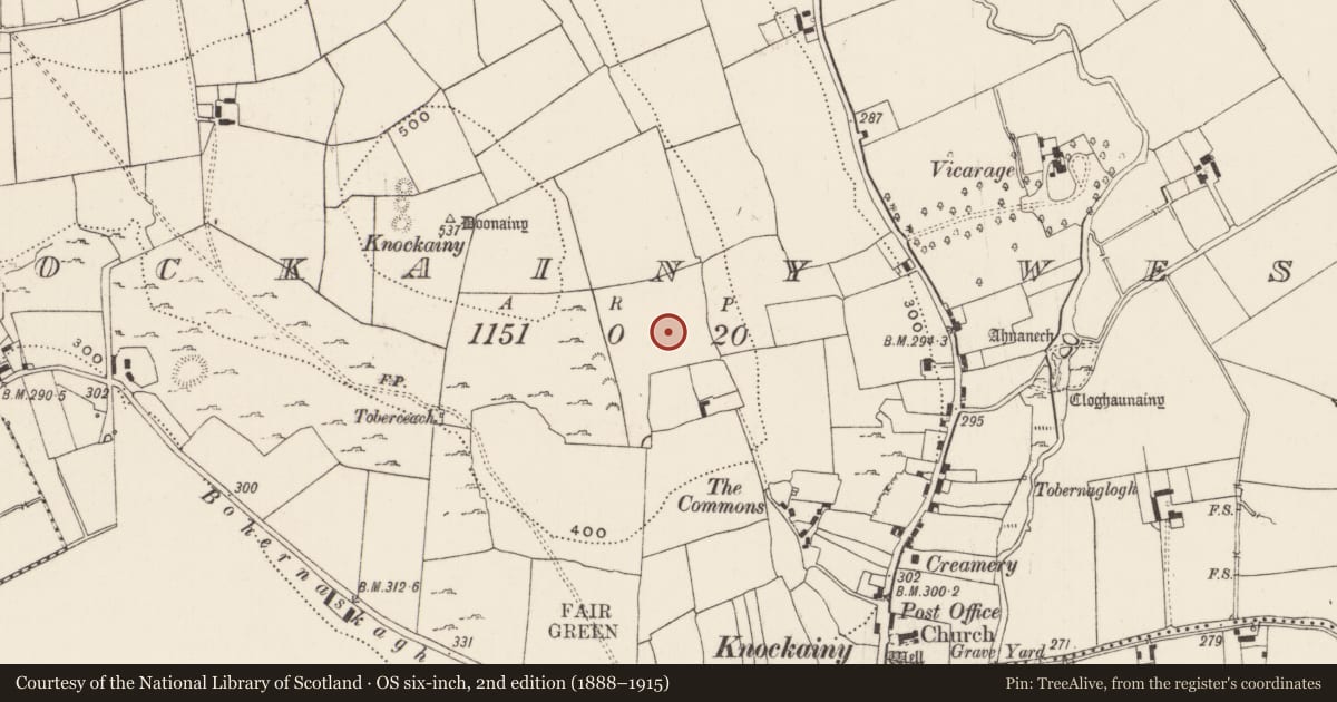 Ordnance Survey six-inch map, 2nd edition (1888–1915) covering the location of Standing stone, Knockainy West, County Limerick, with a pin at the register's coordinates