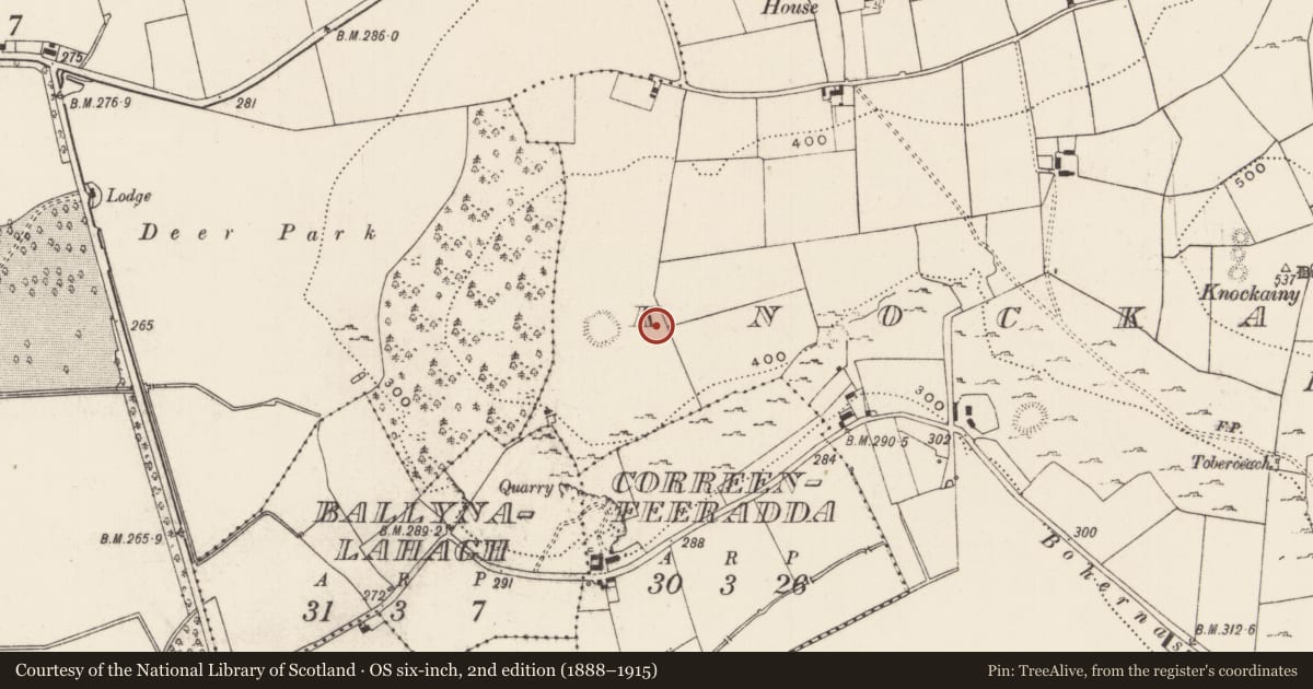 Ordnance Survey six-inch map, 2nd edition (1888–1915) covering the location of Standing stone, Knockainy West, County Limerick, with a pin at the register's coordinates