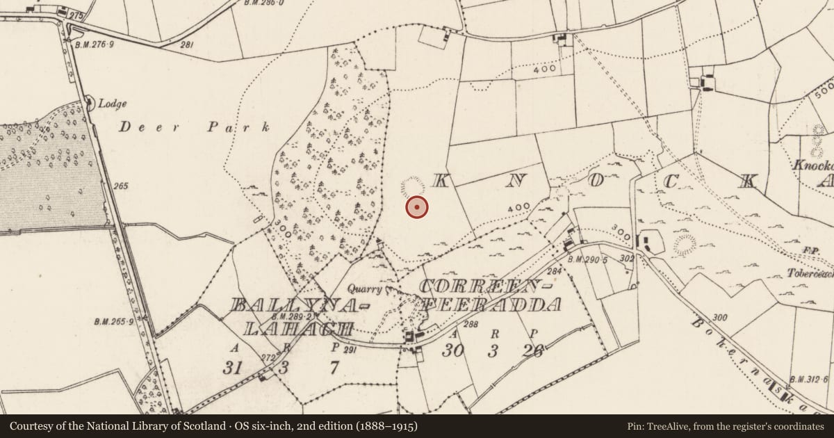 Ordnance Survey six-inch map, 2nd edition (1888–1915) covering the location of Barrow - ring-barrow, Knockainy West, County Limerick, with a pin at the register's coordinates