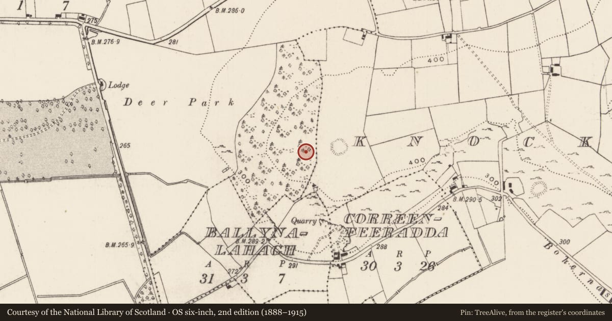 Ordnance Survey six-inch map, 2nd edition (1888–1915) covering the location of Cursus, Knockainy West, County Limerick, with a pin at the register's coordinates