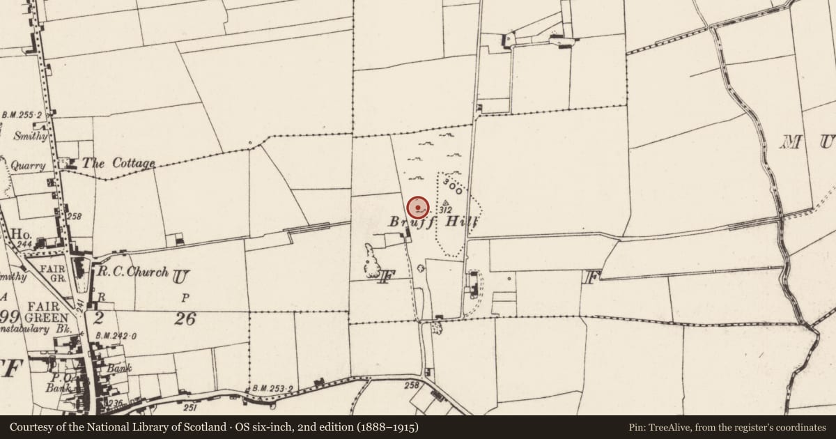 Ordnance Survey six-inch map, 2nd edition (1888–1915) covering the location of Settlement cluster, Bruff, County Limerick, with a pin at the register's coordinates
