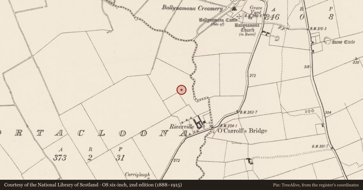 Ordnance Survey six-inch map, 2nd edition (1888–1915) covering the location of Barrow - ditch barrow, Gortacloona, County Limerick, with a pin at the register's coordinates
