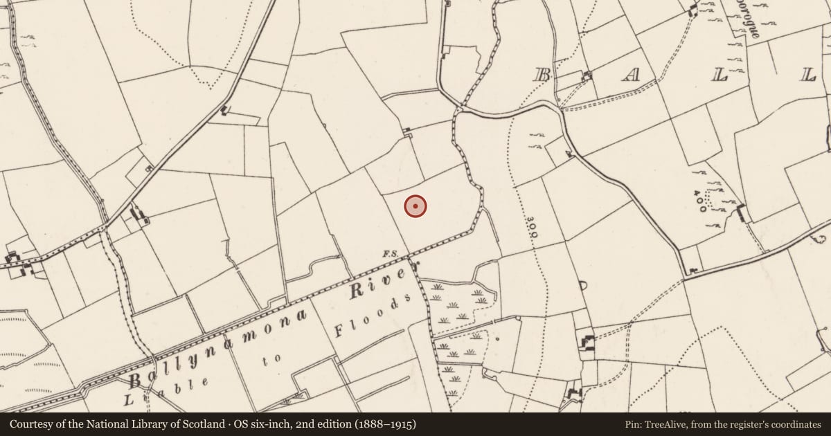 Ordnance Survey six-inch map, 2nd edition (1888–1915) covering the location of Enclosure, Ballynagranagh, County Limerick, with a pin at the register's coordinates