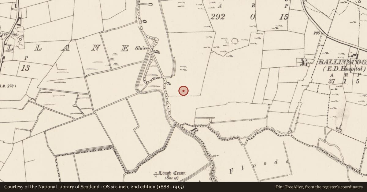 Ordnance Survey six-inch map, 2nd edition (1888–1915) covering the location of Earthwork, Ballinscoola, County Limerick, with a pin at the register's coordinates
