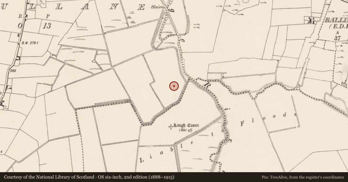 Ordnance Survey six-inch map, 2nd edition (1888–1915) covering the location of Earthwork, Kilcullane, County Limerick, with a pin at the register's coordinates