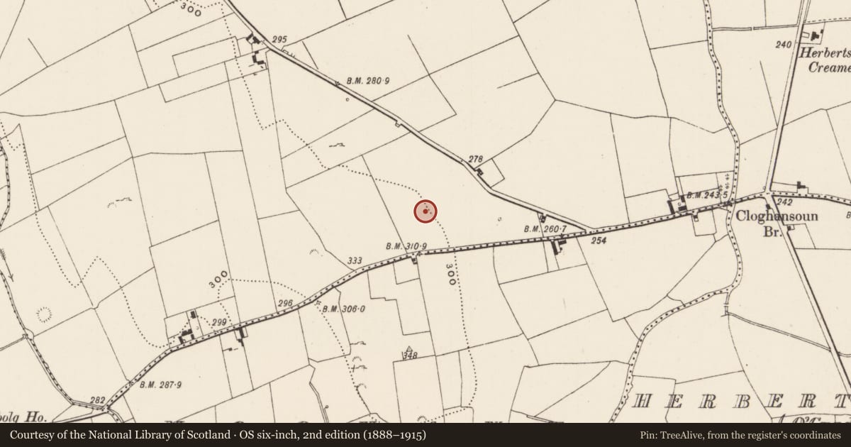 Ordnance Survey six-inch map, 2nd edition (1888–1915) covering the location of Standing stone, Cahercorney, County Limerick, with a pin at the register's coordinates