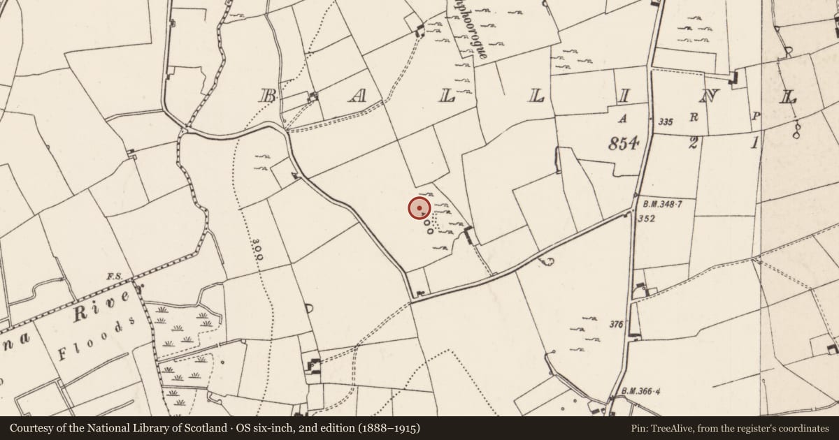 Ordnance Survey six-inch map, 2nd edition (1888–1915) covering the location of Earthwork, Ballinlough, County Limerick, with a pin at the register's coordinates