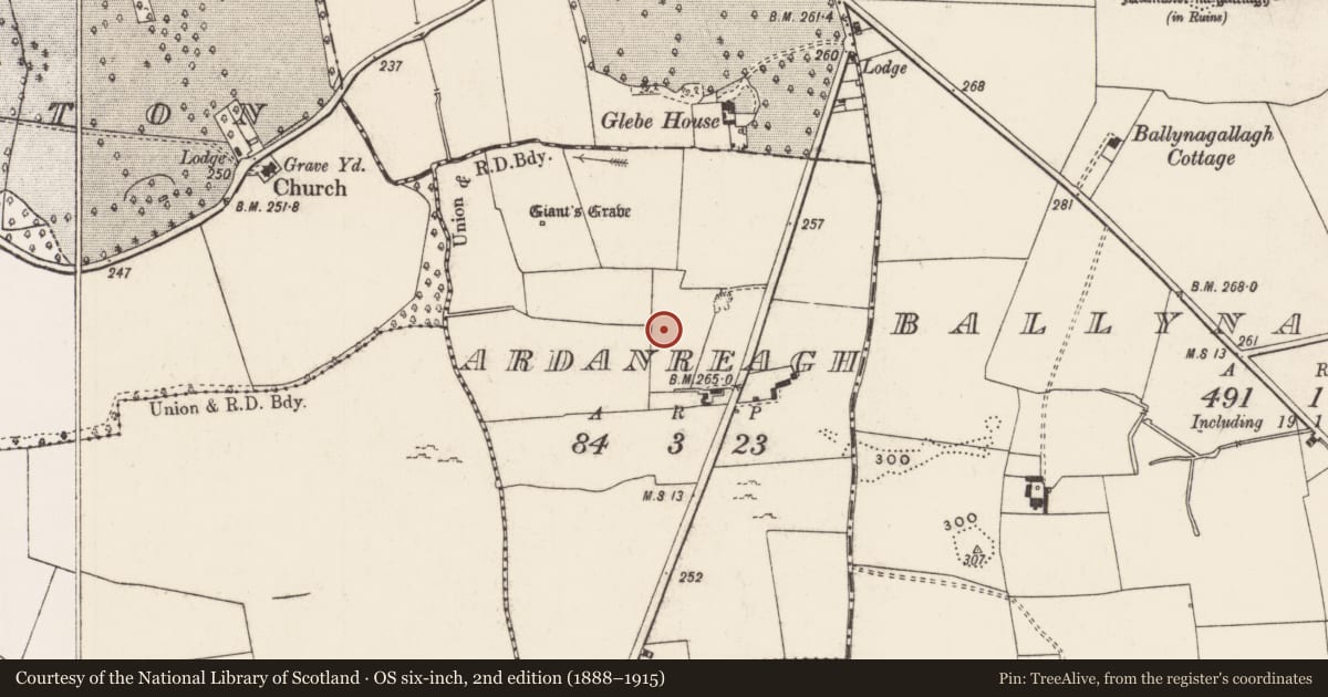 Ordnance Survey six-inch map, 2nd edition (1888–1915) covering the location of Structure, Ardanreagh, County Limerick, with a pin at the register's coordinates