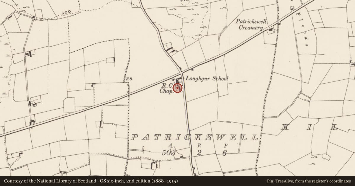 Ordnance Survey six-inch map, 2nd edition (1888–1915) covering the location of Sundial, Patrickswell, County Limerick, with a pin at the register's coordinates