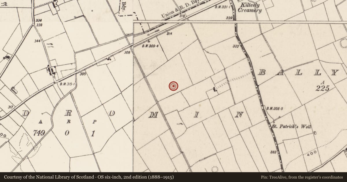 Ordnance Survey six-inch map, 2nd edition (1888–1915) covering the location of Ringfort - rath, Kildromin, County Limerick, with a pin at the register's coordinates