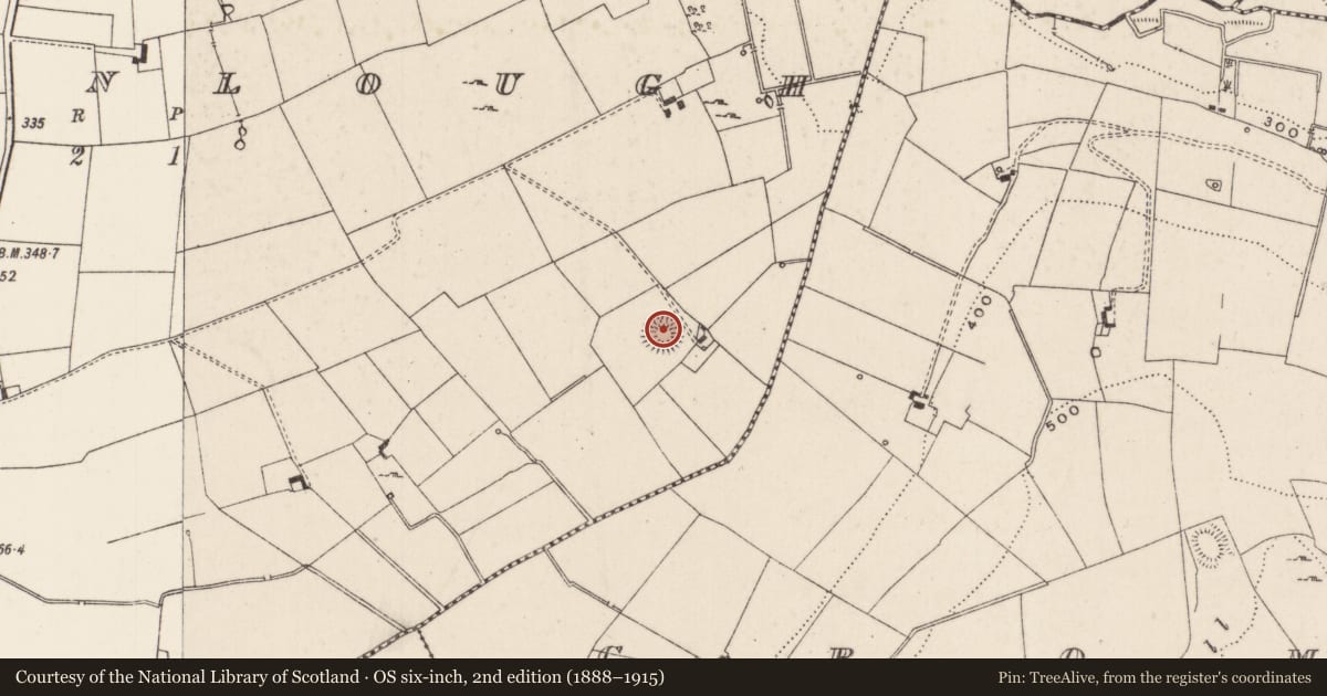 Ordnance Survey six-inch map, 2nd edition (1888–1915) covering the location of Enclosure, Ballinlough, County Limerick, with a pin at the register's coordinates