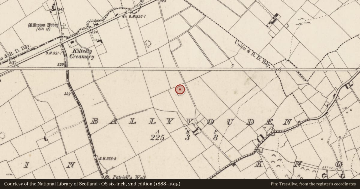Ordnance Survey six-inch map, 2nd edition (1888–1915) covering the location of Barrow - unclassified, Ballyvouden, County Limerick, with a pin at the register's coordinates