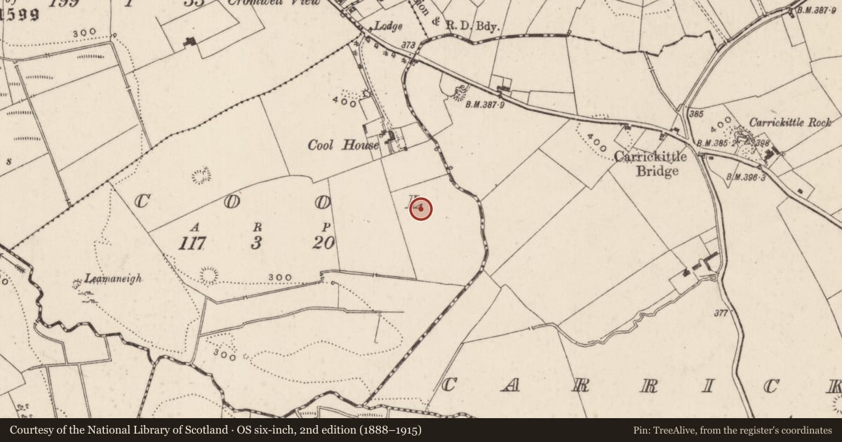 Ordnance Survey six-inch map, 2nd edition (1888–1915) covering the location of Designed landscape feature, Cool, County Limerick, with a pin at the register's coordinates