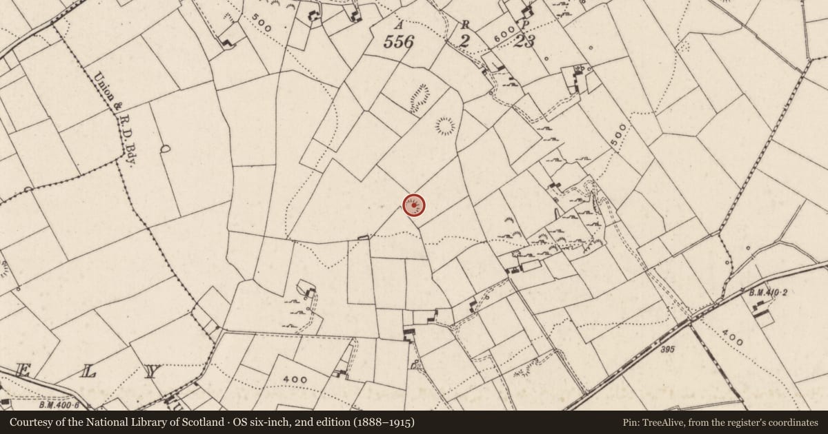 Ordnance Survey six-inch map, 2nd edition (1888–1915) covering the location of Ringfort - rath, Knockroe, County Limerick, with a pin at the register's coordinates