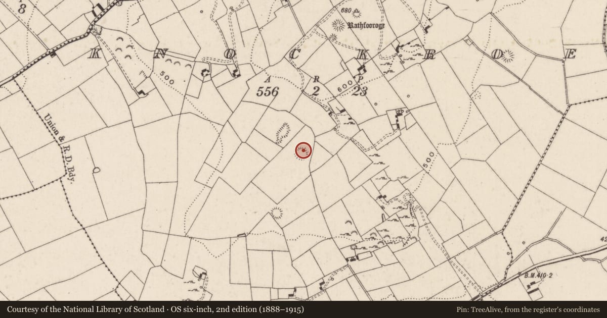 Ordnance Survey six-inch map, 2nd edition (1888–1915) covering the location of Ringfort - rath, Knockroe, County Limerick, with a pin at the register's coordinates