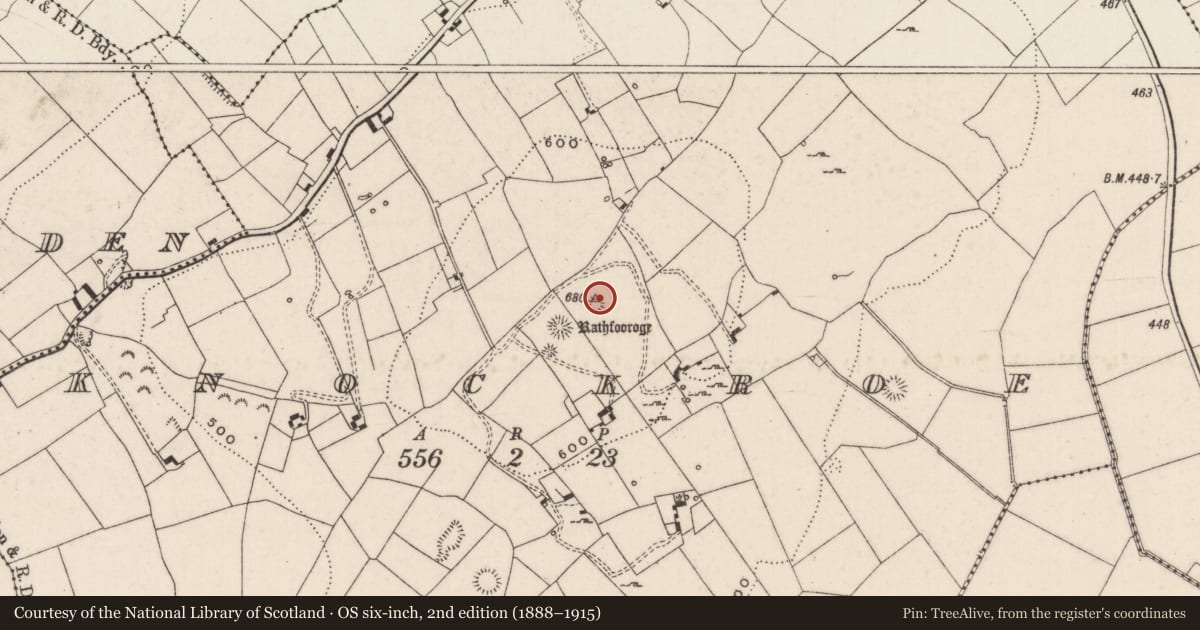 Ordnance Survey six-inch map, 2nd edition (1888–1915) covering the location of Barrow - embanked barrow, Knockroe, County Limerick, with a pin at the register's coordinates