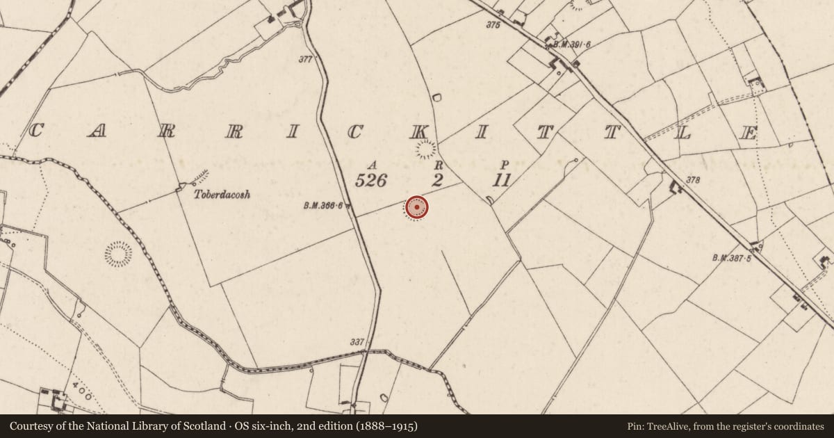 Ordnance Survey six-inch map, 2nd edition (1888–1915) covering the location of Ringfort - rath, Carrickittle, County Limerick, with a pin at the register's coordinates