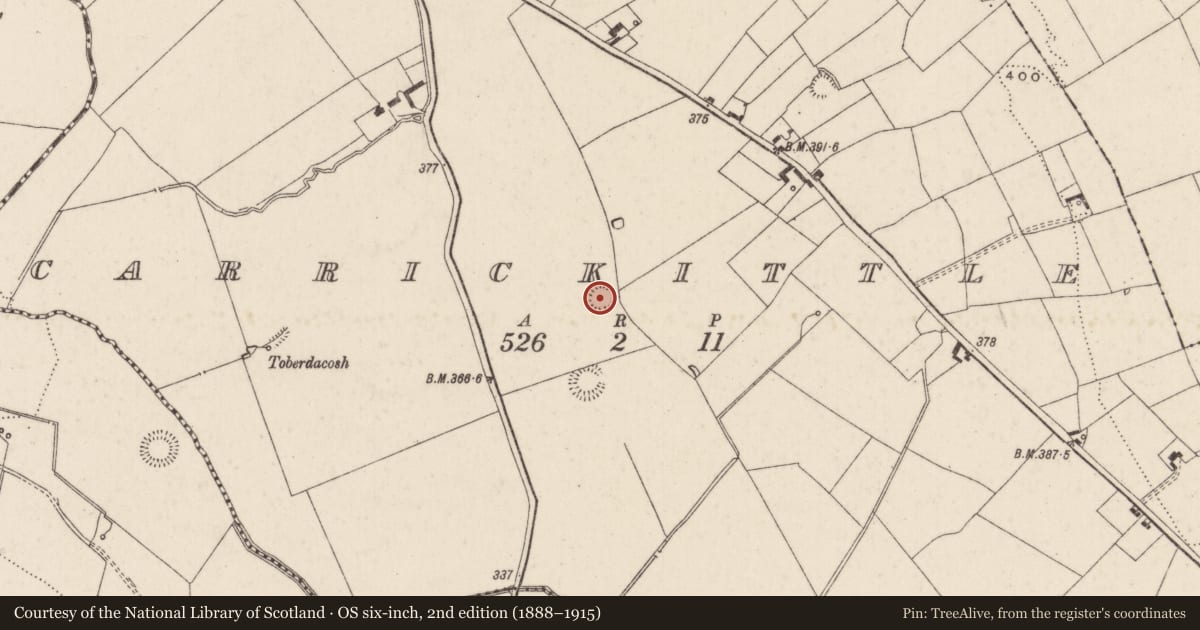 Ordnance Survey six-inch map, 2nd edition (1888–1915) covering the location of Ringfort - rath, Carrickittle, County Limerick, with a pin at the register's coordinates