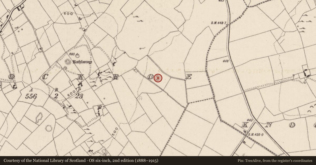 Ordnance Survey six-inch map, 2nd edition (1888–1915) covering the location of Ringfort - rath, Knockroe, County Limerick, with a pin at the register's coordinates