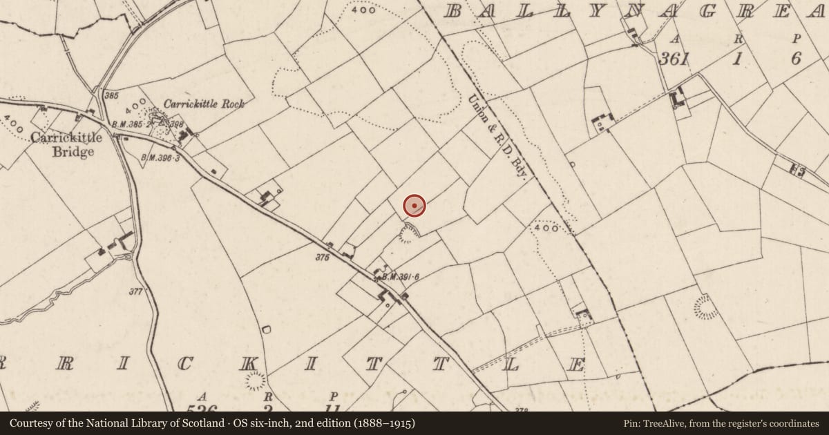 Ordnance Survey six-inch map, 2nd edition (1888–1915) covering the location of Standing stone, Carrickittle, County Limerick, with a pin at the register's coordinates