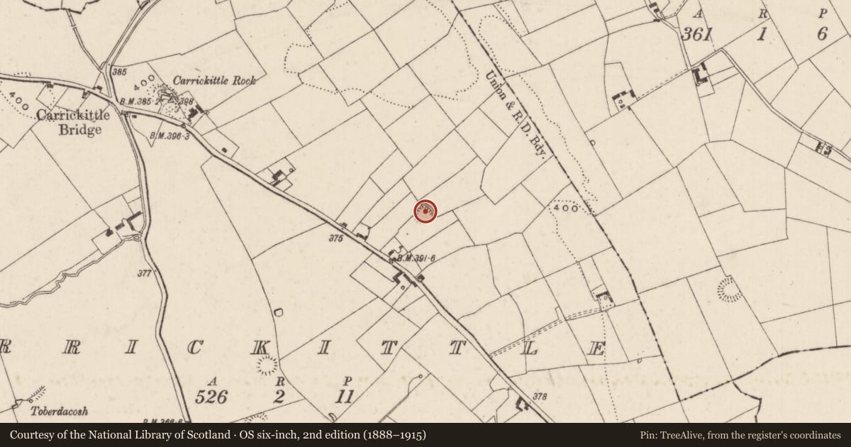 Ordnance Survey six-inch map, 2nd edition (1888–1915) covering the location of Ringfort - rath, Carrickittle, County Limerick, with a pin at the register's coordinates