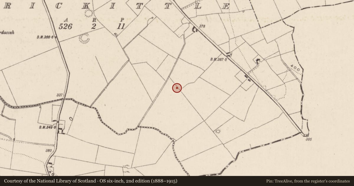 Ordnance Survey six-inch map, 2nd edition (1888–1915) covering the location of Ringfort - rath, Carrickittle, County Limerick, with a pin at the register's coordinates