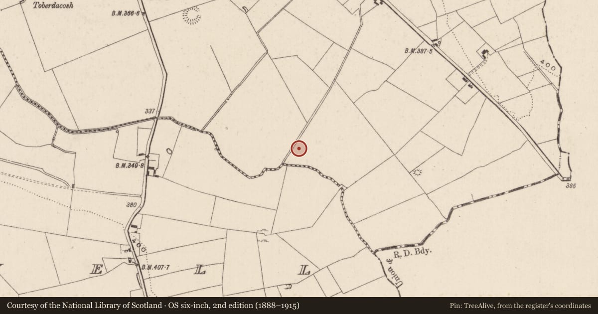 Ordnance Survey six-inch map, 2nd edition (1888–1915) covering the location of Barrow - ring-barrow, Carrickittle, County Limerick, with a pin at the register's coordinates