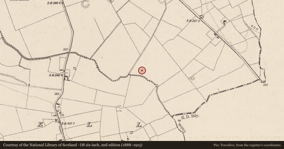 Ordnance Survey six-inch map, 2nd edition (1888–1915) covering the location of Barrow - ring-barrow, Carrickittle, County Limerick, with a pin at the register's coordinates