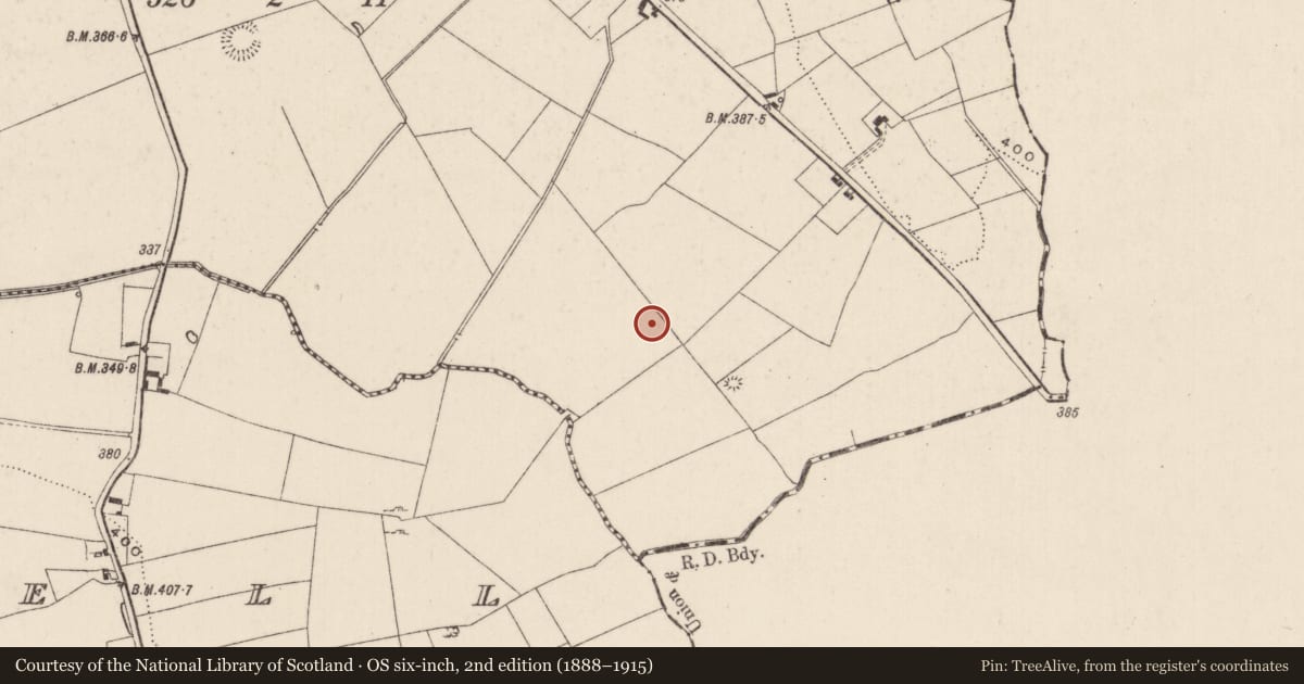 Ordnance Survey six-inch map, 2nd edition (1888–1915) covering the location of Barrow - ring-barrow, Carrickittle, County Limerick, with a pin at the register's coordinates