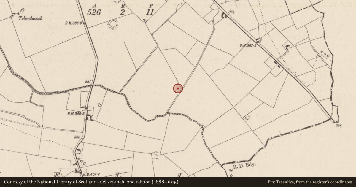 Ordnance Survey six-inch map, 2nd edition (1888–1915) covering the location of Road - road/trackway, Carrickittle, County Limerick, with a pin at the register's coordinates