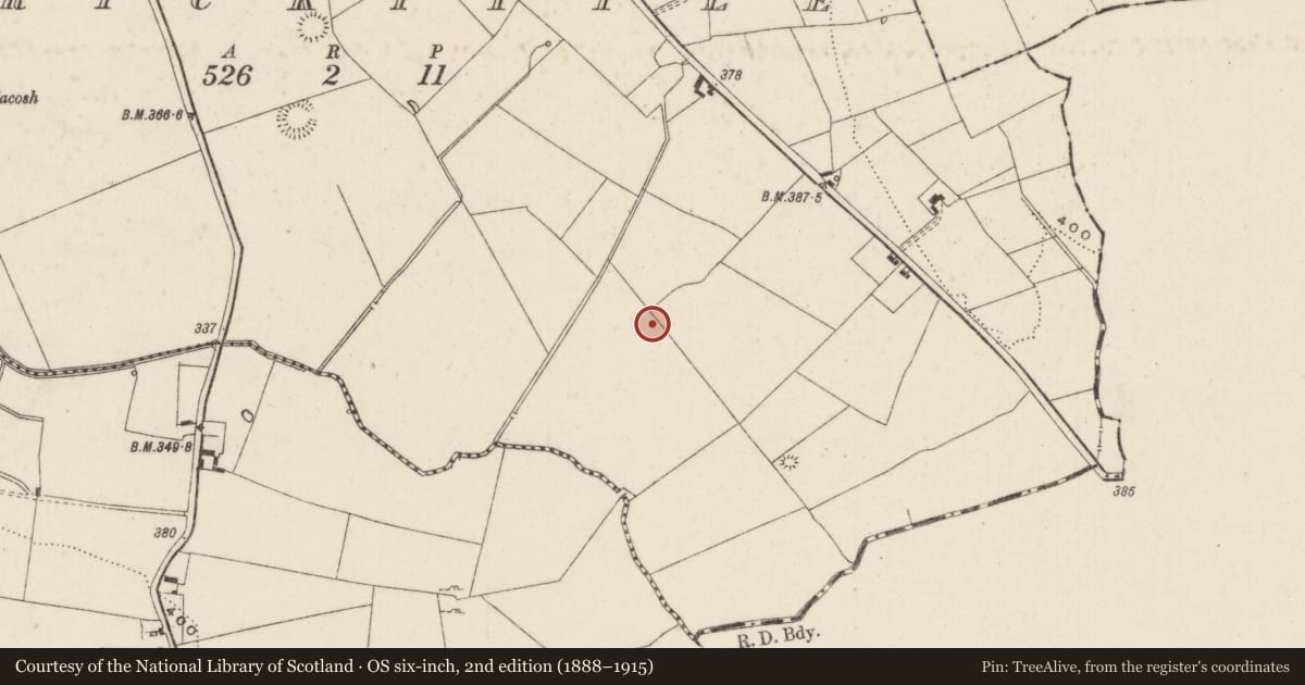 Ordnance Survey six-inch map, 2nd edition (1888–1915) covering the location of Ringfort - rath, Carrickittle, County Limerick, with a pin at the register's coordinates