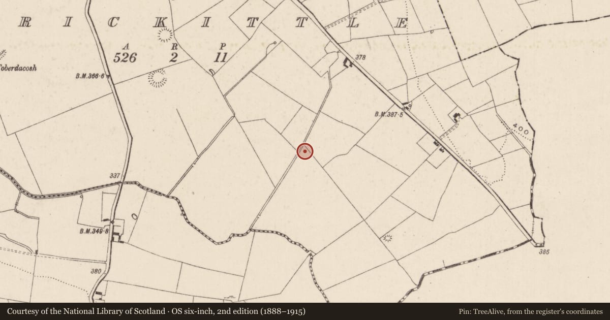 Ordnance Survey six-inch map, 2nd edition (1888–1915) covering the location of Barrow - ring-barrow, Carrickittle, County Limerick, with a pin at the register's coordinates