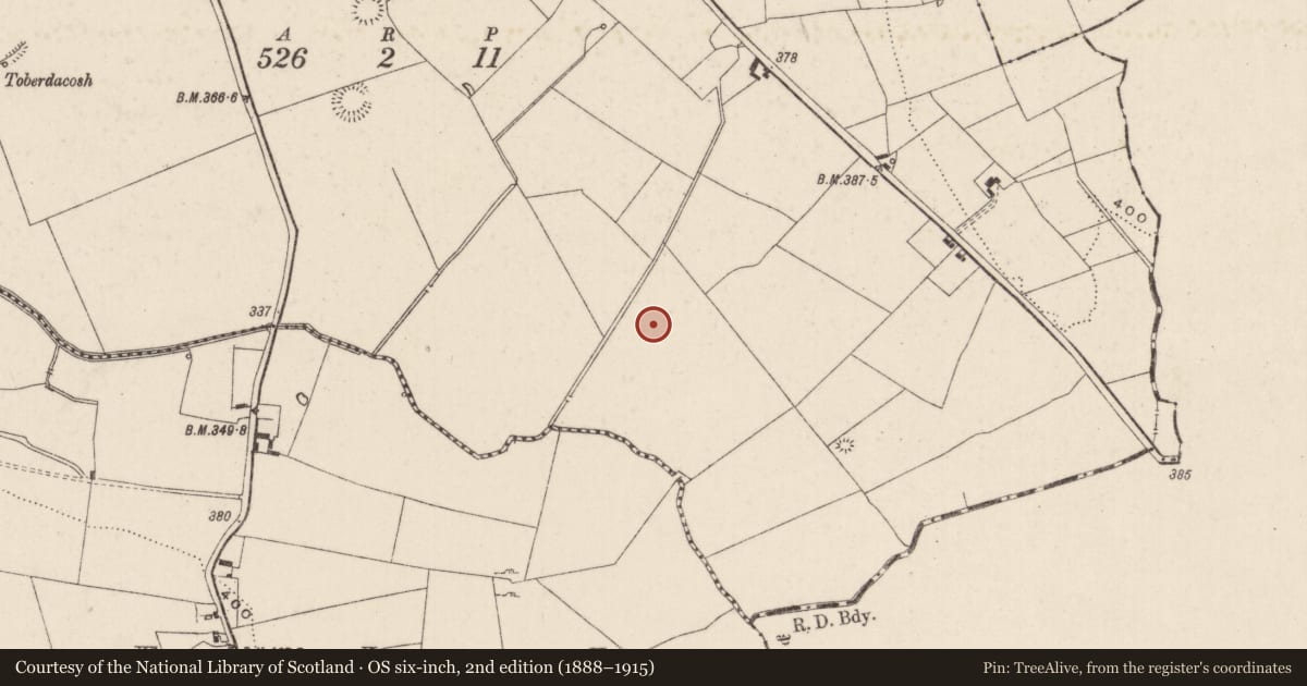 Ordnance Survey six-inch map, 2nd edition (1888–1915) covering the location of Barrow - unclassified, Carrickittle, County Limerick, with a pin at the register's coordinates