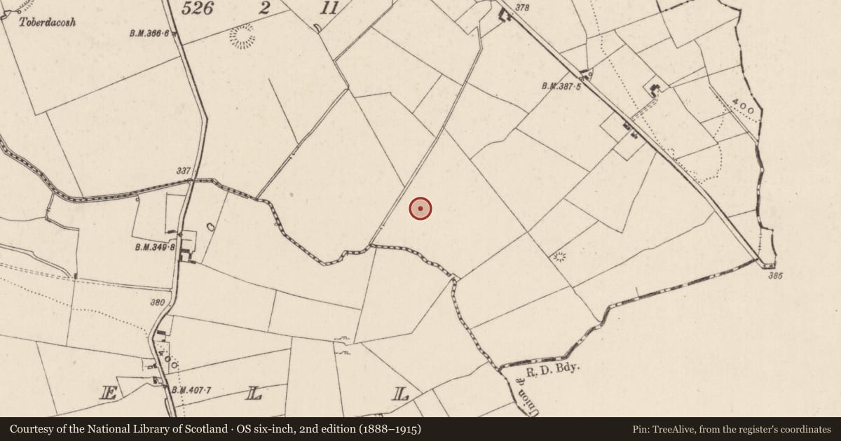 Ordnance Survey six-inch map, 2nd edition (1888–1915) covering the location of Barrow - pond barrow, Carrickittle, County Limerick, with a pin at the register's coordinates