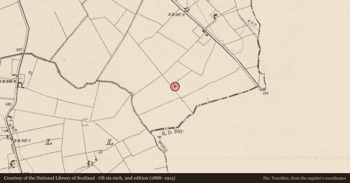 Ordnance Survey six-inch map, 2nd edition (1888–1915) covering the location of Burial mound, Carrickittle, County Limerick, with a pin at the register's coordinates