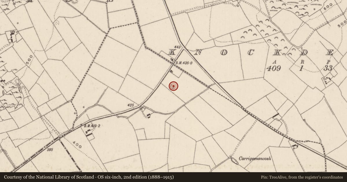 Ordnance Survey six-inch map, 2nd edition (1888–1915) covering the location of Fulacht fia, Ballynagreanagh, County Limerick, with a pin at the register's coordinates
