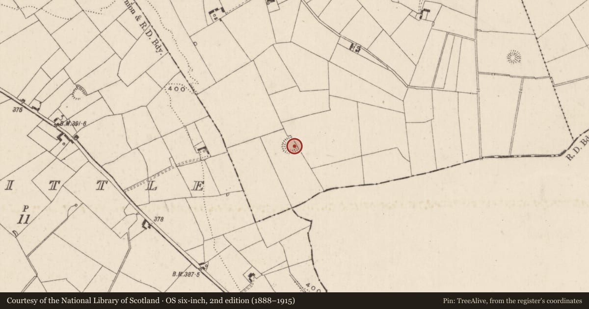 Ordnance Survey six-inch map, 2nd edition (1888–1915) covering the location of Barrow - unclassified, Ballynagreanagh, County Limerick, with a pin at the register's coordinates