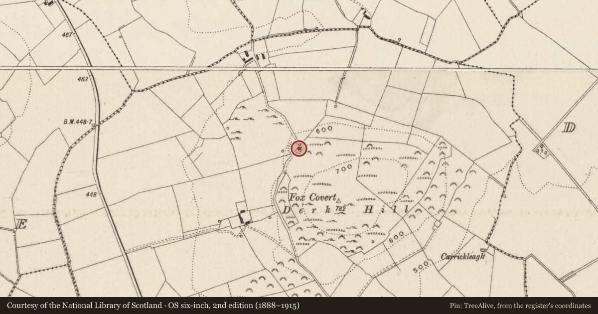 Ordnance Survey six-inch map, 2nd edition (1888–1915) covering the location of Ringfort - rath, Knockderk, County Limerick, with a pin at the register's coordinates
