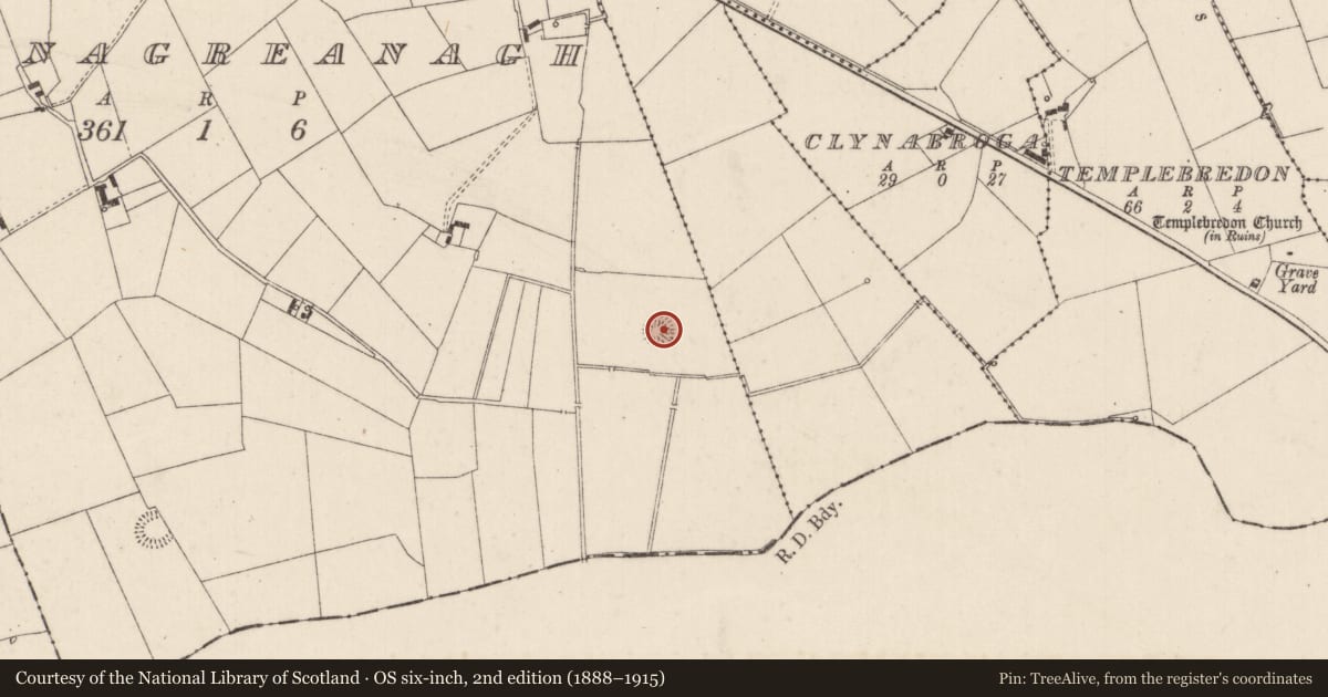 Ordnance Survey six-inch map, 2nd edition (1888–1915) covering the location of Ringfort - rath, Ballynagreanagh, County Limerick, with a pin at the register's coordinates