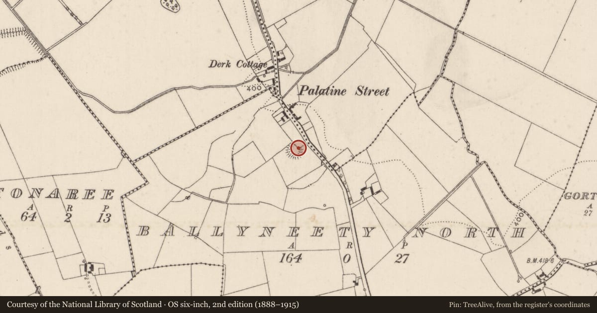 Ordnance Survey six-inch map, 2nd edition (1888–1915) covering the location of Ringfort - rath, Ballyneety North, County Limerick, with a pin at the register's coordinates