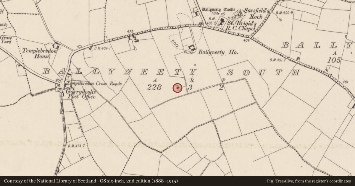 Ordnance Survey six-inch map, 2nd edition (1888–1915) covering the location of Ringfort - rath, Ballyneety South, County Limerick, with a pin at the register's coordinates
