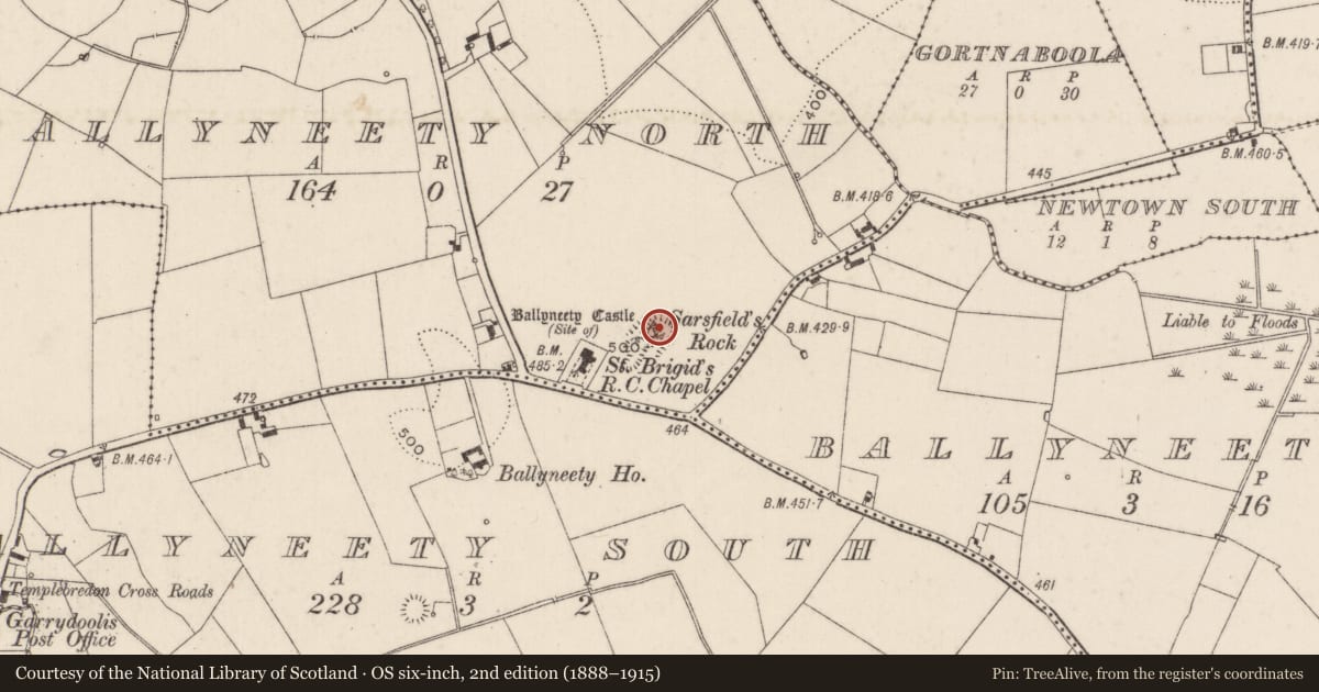 Ordnance Survey six-inch map, 2nd edition (1888–1915) covering the location of Earthwork, Ballyneety North, County Limerick, with a pin at the register's coordinates