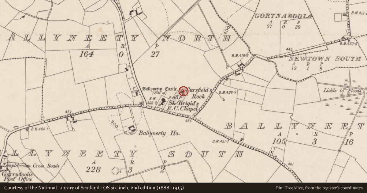 Ordnance Survey six-inch map, 2nd edition (1888–1915) covering the location of Castle - unclassified, Ballyneety North, County Limerick, with a pin at the register's coordinates