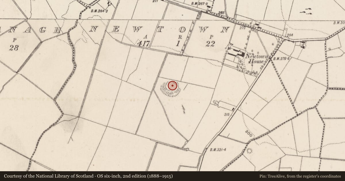 Ordnance Survey six-inch map, 2nd edition (1888–1915) covering the location of Ringfort - rath, Newtown, County Limerick, with a pin at the register's coordinates