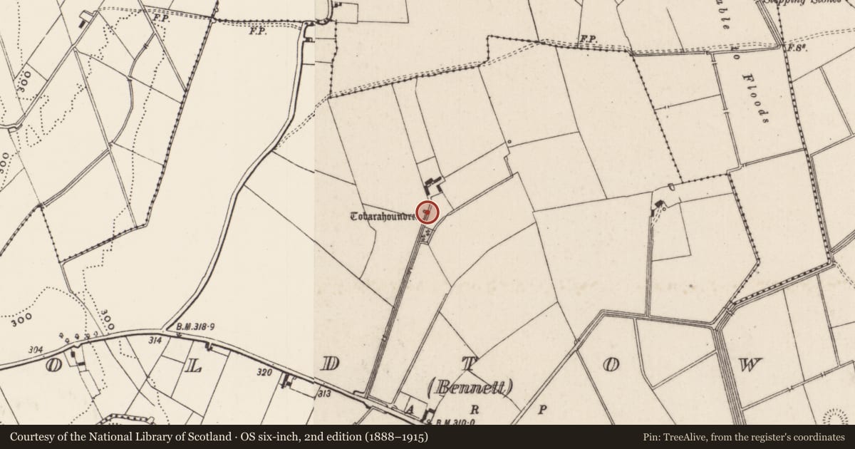 Ordnance Survey six-inch map, 2nd edition (1888–1915) covering the location of Ritual site - holy well, Oldtown (Bennett), County Limerick, with a pin at the register's coordinates